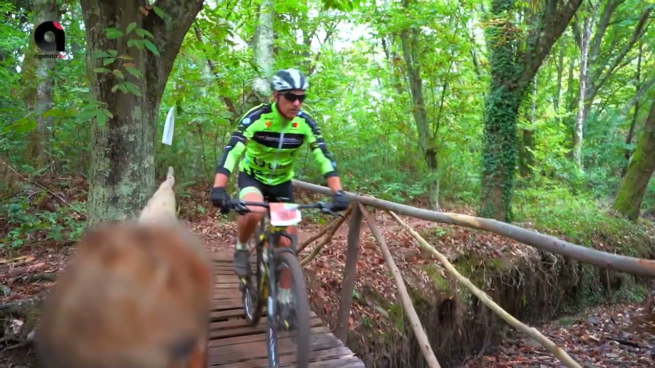 14.ª Maratona de BTT LAAC-LAACAR