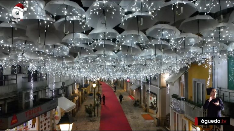  imagemInauguração da Iluminação de Natal 2022