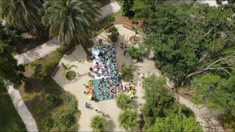  imagemMês do Ambiente – 50 anos 50 ações